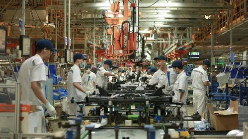 港珠澳大桥出入境客流破千万 大湾区互联互通活力彰显